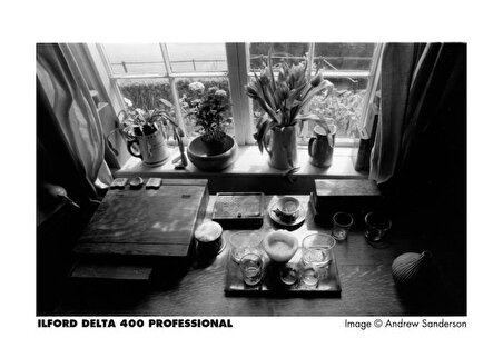 Ilford Delta 400 Siyah Beyaz Negatif 120 Roll Film (SKT: 04-2024)