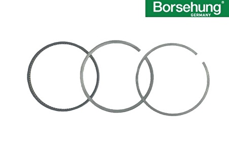 Motor Segman Std 81.00 Mm ( 1 Piston İçin )-Golf -Vento-1.8 Lt.-1F-Adz-Aam