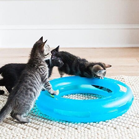 Fat Cat Crazy Circle Toplu Kedi Oyuncağı Mavi