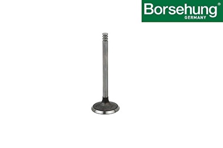 Sübap Emme  Adet-Fabıa-Beetle-Alhambra