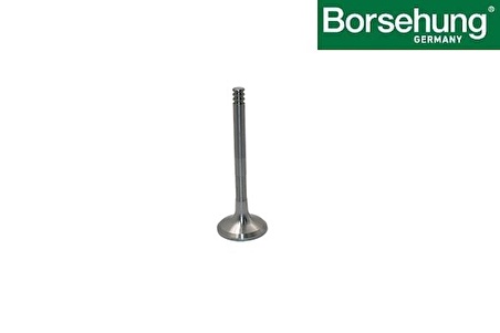 Sübap Egsoz-Fabıa-Beetle-Alhambra