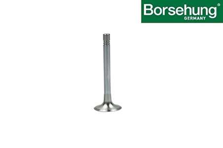 Subap Egzoz (Adet)-Fabıa-A1-Altea-Ibıza