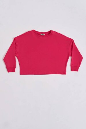 TheRecolor Organik Uzun Kollu Kadın Crop Sweatshirt - Pembe
