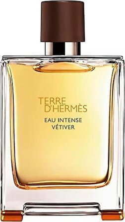 Hermes Hermes Terre D'Hermes EDP Çiçeksi Erkek Parfüm 100 ml