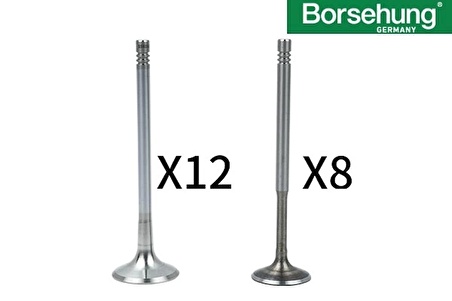 Subap Takımı ( 6 Mm 20 Valf )-Golf 4-Bora-A3-Octavıa-Passat-A4-1.8 Lt.-125-Ps-Adr-Apt-Agn