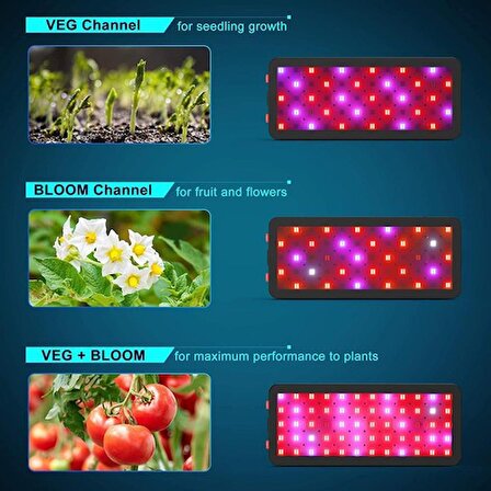 Phlizon 600W Samsung LED Full Spektrum Bitki Işığı
