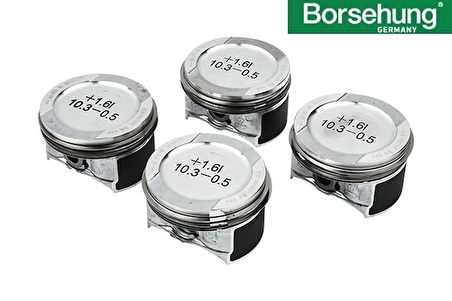 Piston Segman Std 81.00 Mm  ( 4 Adet )-Golf -Passat-Jetta-A3-Leon-1.6 Lt.-Bfq-Alz-Avu-Bse-Bsf