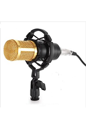 Azemax BM800U Profesyonel Youtuber Stüdyo Kayıt Mikrofonu POP Filtre