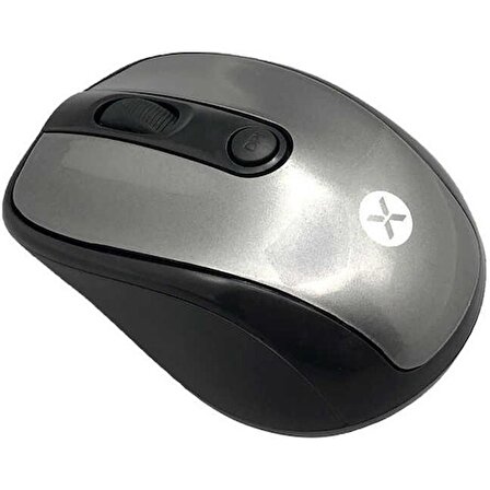 Dexim Alfa DMA0015-S Kablosuz Gümüş Mouse