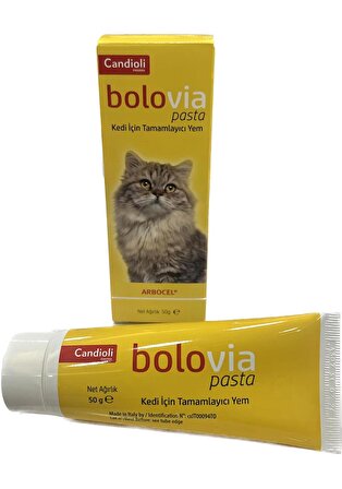 Bolovia Kedi Maltı