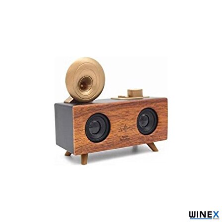 Winex Çift Hoparlörlü Gramafon Speaker Bluetooth Hoparlör Fm Radyo+Sd Kart+UsbA+3.5mm Aux Girisli