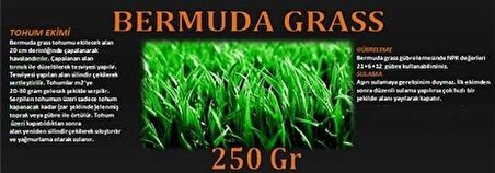 Bermuda Çimi (Ayrık Otu)Tohumu 250 gr