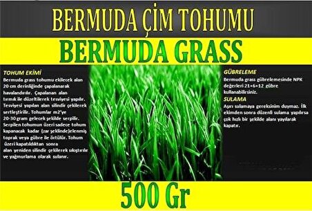 Bermuda Çimi (Ayrı Otu)Tohumu 500 gr