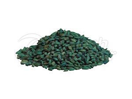 Fare Kulağı Tohumu-Dichondra Repens-1 kg