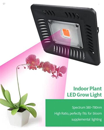 Tam Spektrum 50W 220V Sera Bitki Büyütme Cob Led Işık Paneli Projektör 
