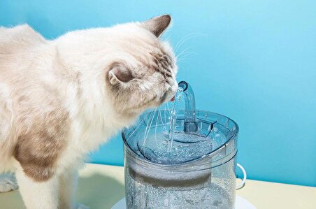 DailyTech Otomatik PET Kedi Köpek Su Pınarı Çeşmesi Şelalesi Sebil