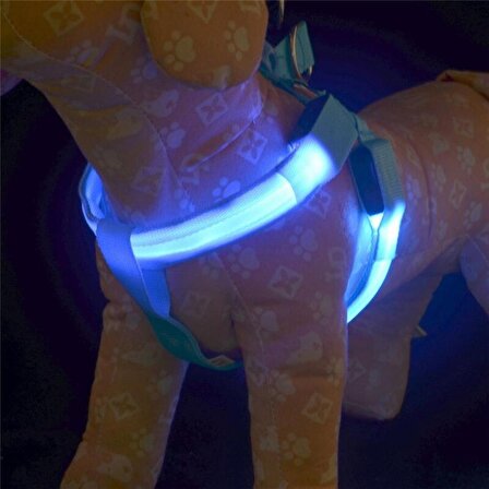 DailyTech Ayarlanabilir LED Işıklı Pet Köpek Göğüs Tasması Kemeri