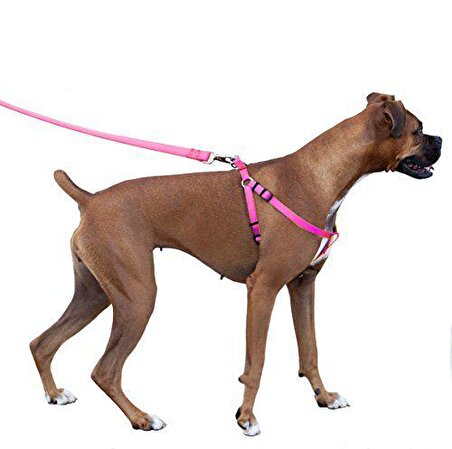 Easy Walk Harness Pembe Köpek Göğüs Tasması