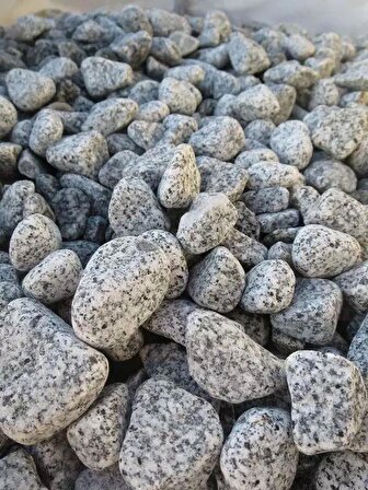 AHS Doğal Granit Gri Dolomit Taşı 20 Kg 1-3 Cm Dere Çakıl Bahçe Peyzaj Saksı Teraryum Akvaryum Taşı