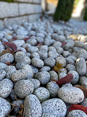 AHS Doğal Granit Gri Dolomit Taşı 20 Kg 4-8 Cm Dere Çakıl Bahçe Peyzaj Saksı Teraryum Akvaryum Taşı
