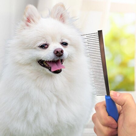 BUFFER® Tüy Açıcı Kedi Köpek Metal Dişli Evcil Hayvan Bakım Fırçası+ Kendini Temizleyen Bakım Tarağı