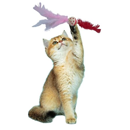BUFFER® Tüy Toplayıcı Gri , Püsküllü Renkli Kedi Oyuncağı ve Tüylü Yaylı Oyuncak