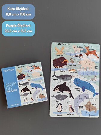 Kuzey Kutup Hayvanları Mini Puzzle 40 Parça 4+ Yaş