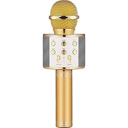 Winex UsbA+TF Sd Kart+3.5mm Aux Girişli Bluetooth Karaoke Mikrofonu Gold