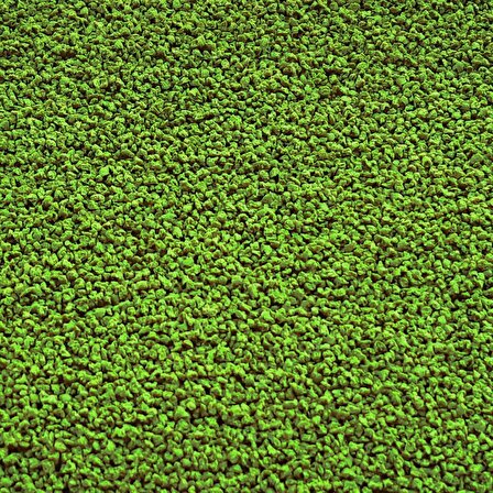 Cichlid Green Granules 860gr Easy-Doypack Green Algae Spirulina Akvaryum Balık Yemi ve Contra Blue
