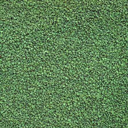 Tropheus Veggie Chips 860gr Easy-Doypack Green Algae Spirulina Akvaryum Balık Yemi ve Contra Blue