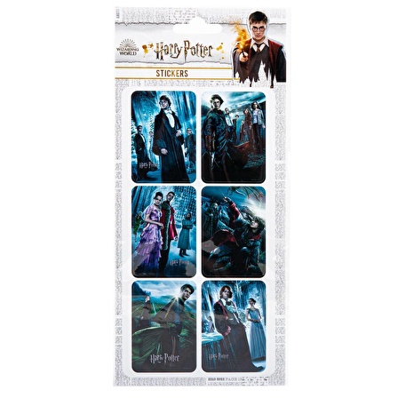 Sticker Harry Potter Lisanslı Etiket Özel Tasarım