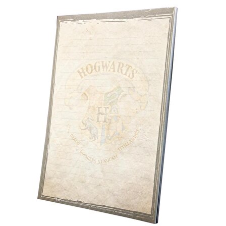 A4 Notepad Harry Potter Lisanslı Özel Tasarım 