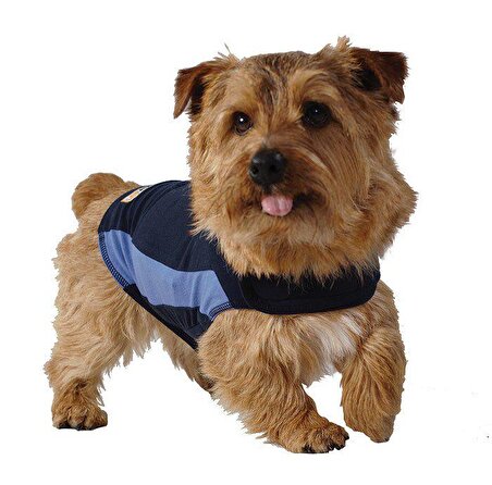 XS Mavi Thundershirt Sakinleştirici Köpek Giysisi