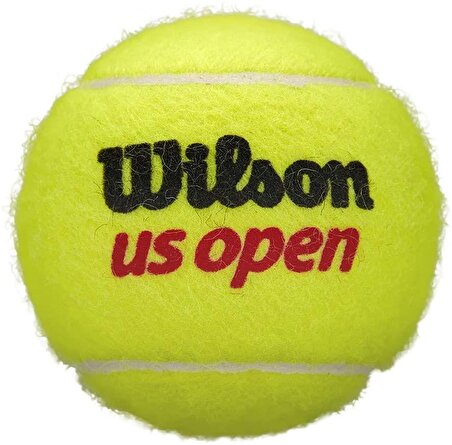 US OPEN XD TBALL 3 BALL CAN ( WRT106200 )