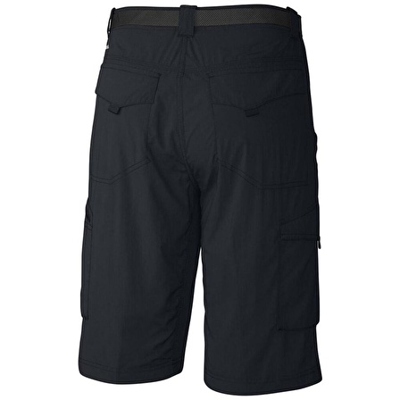 AM4084 SILVER RIDGE CARGO SHORT