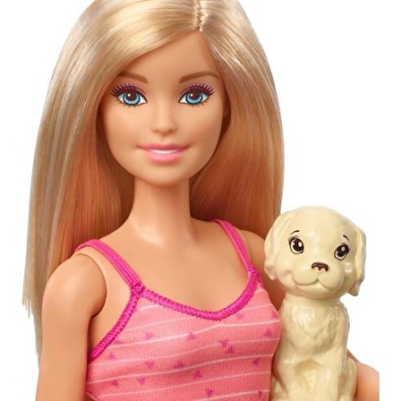 Barbie Bebek ve Aksesuarları 3 Yavru Köpekli Oyun Seti GDJ37