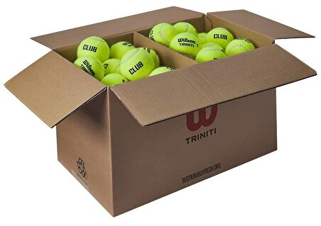 Wilson Triniti Club Tenis Topu 72li Karton Ambalajda