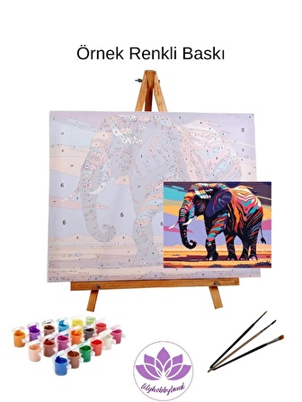 Renkli Baskılı Sayılarla Boyama Hobi Seti (Çerçeveli) 40x50 cm: Dj Kedi