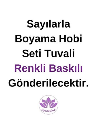 Renkli Baskılı Sayılarla Boyama Hobi Seti (Çerçeveli) 40x50 cm: Renkli Göz