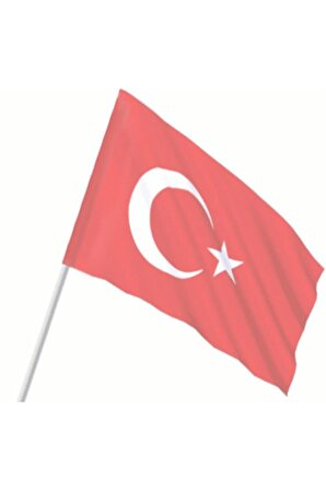 Raşel Kumaş Sopalı Türk Bayrağı 35*60 Cm 3 Adet