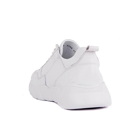 Sail Lakers - Beyaz Deri Erkek Sneaker