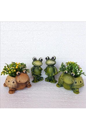 Sevimli Kaplumbağalar Saksı Seti