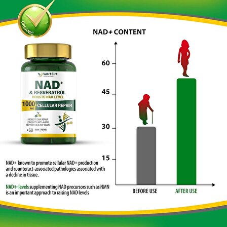 Vantein NAD+ ve Resveratrol Takviyesi 1000mg 60 Kapsül