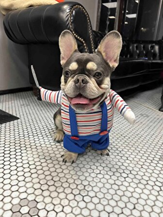 Katil Bebek Chucky Köpek Kostümü M Beden (6-8 kg)
