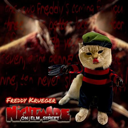 Freddy Krueger Kedi Kostümü XS Beden (2-4 Kg)