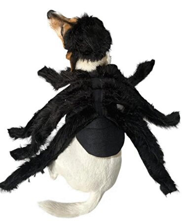 Örümcek Köpek Kostümü XS Beden (2-4 Kg)