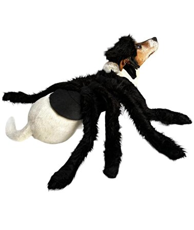 Örümcek Köpek Kostümü XS Beden (2-4 Kg)