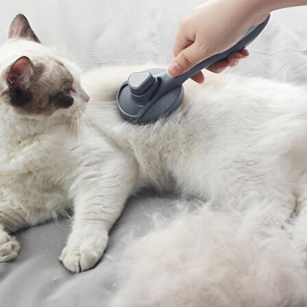 Otomatik Temizlenen Evcil Hayvan Fırçası Kedi Köpek Tarak cin431