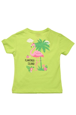 Flamingo Baskılı Kız Bebek Tshirt Yeşil