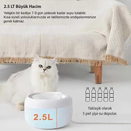 Outdoor Cattie Kedi Köpek Arıtmalı Su Pınarı Yeşil